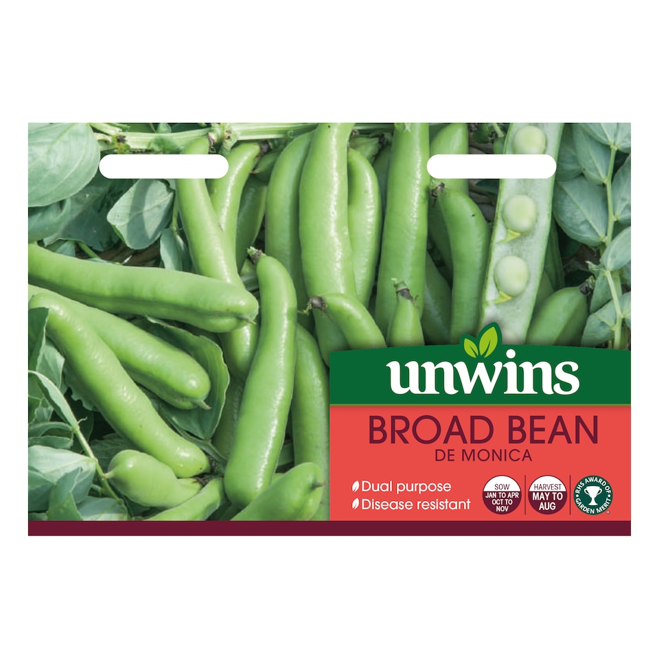 image 1 of Broad Bean De Monica