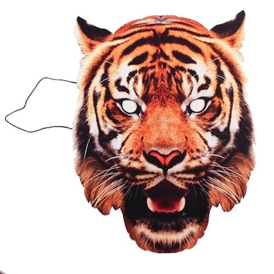 Tiger Cardboard Face Mask