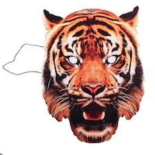 Tiger Cardboard Face Mask