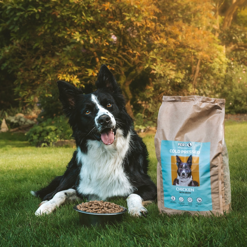 image 1 of Pero Cold Pressed Dog Food - Chicken with Wholesome Grains | Brown | 2kg | Chicken | 1