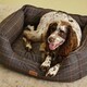 image 8 of Rosewood Joules Hensen Check Box Dog Bed | Multi | S | 1