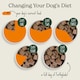 image 6 of Beef & Sweet Potato Wet Dog Food (18x395g)