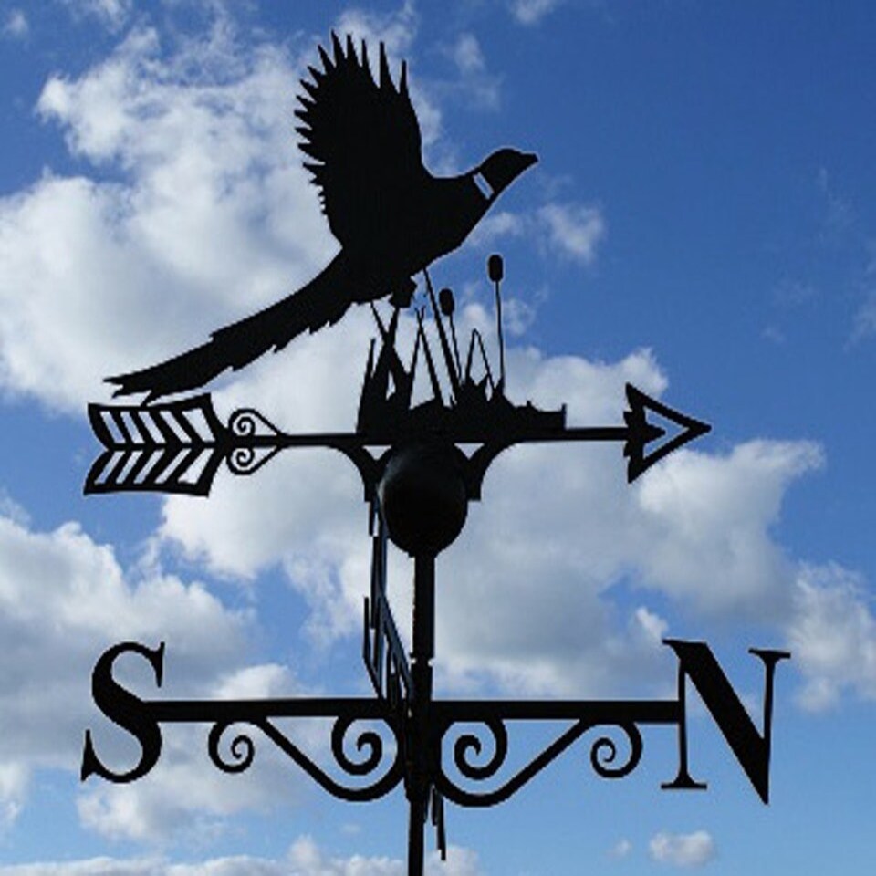 image 1 of Pheasant Weathervane - Solid Steel - W61 x H88 cm - Black
