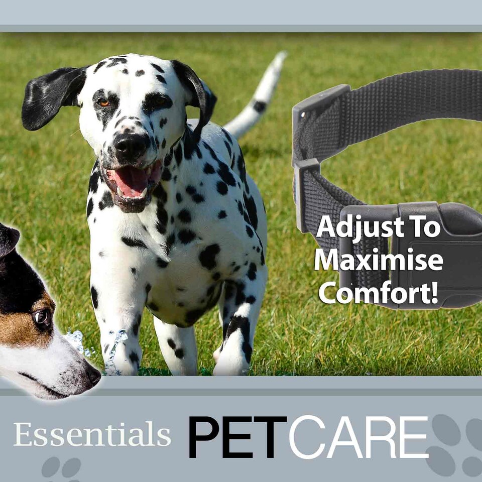 image 1 of Crufts Medium Taupe Nylon Dog Collar, Adjustable 35cm