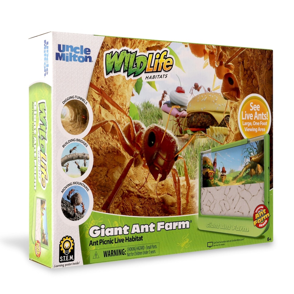 image 1 of Giant Ant Farm