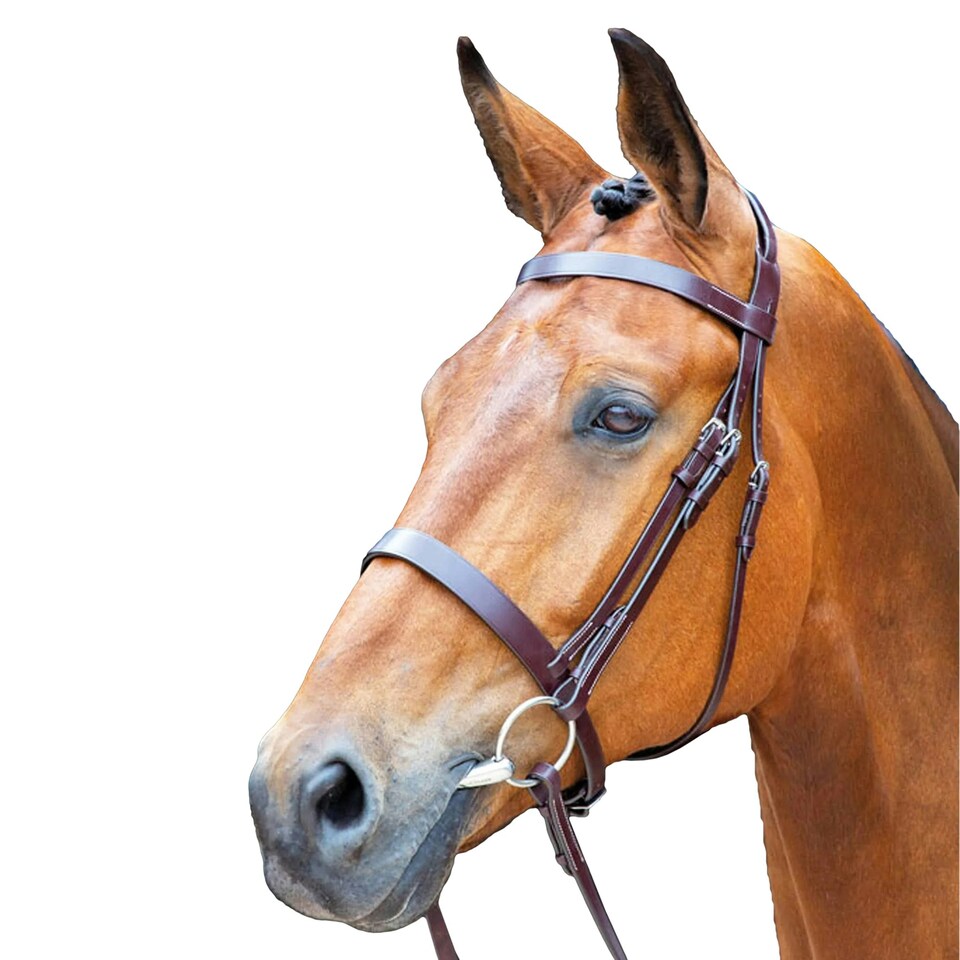 Salisbury Berrington Leather Stitch Horse Bridle - Australian Nut - Pony