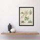 image 2 of Sarah Featon Framed Wall Art Native New Zealand Wildflowers Illustration