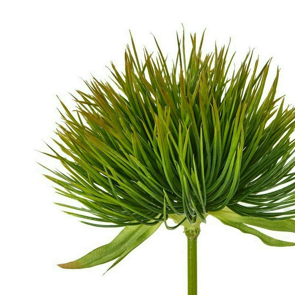 image 1 of Moss (Single Stem Flower) - Plastic - L16 x W16 x H67 cm - Green