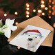 image 4 of Polar Bear Santa Hat Bright Festive Fun Xmas Art Blank Christmas Card