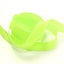 9527 Apple Green