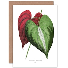 Leaf Dioscorea Discolor Art Blank Just to Say Card