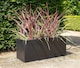 image 3 of Primrose Gunmetal Black Galvanised Zinc Rectangular Garden Planter Plant Pot Medium 64cm x 32cm