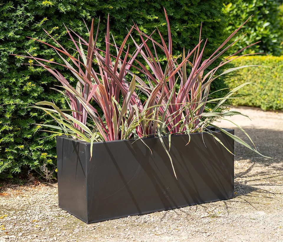 image 1 of Primrose Gunmetal Black Galvanised Zinc Rectangular Garden Planter Plant Pot Medium 64cm x 32cm