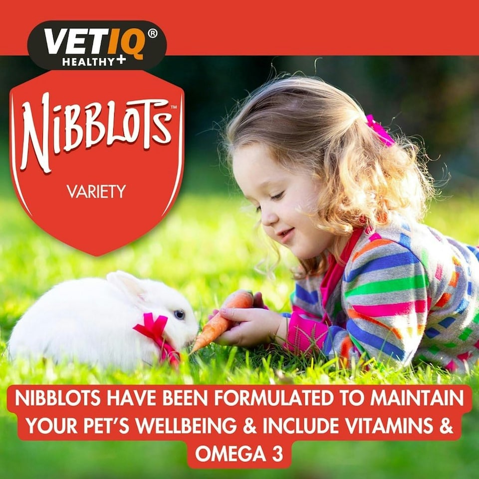 image 1 of VETIQ Nibblots For Small Animals Variety Pack, 4 x 30G