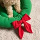 image 2 of OHS Xmas Bow Wreath Novelty Pet Bed Dog Cat Calming Cushion Mat