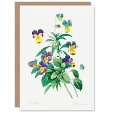 Pierre-Joseph Redouté Art Card Vintage Wild Pansy Flower Illustration