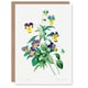 image 1 of Pierre-Joseph Redouté Art Card Vintage Wild Pansy Flower Illustration