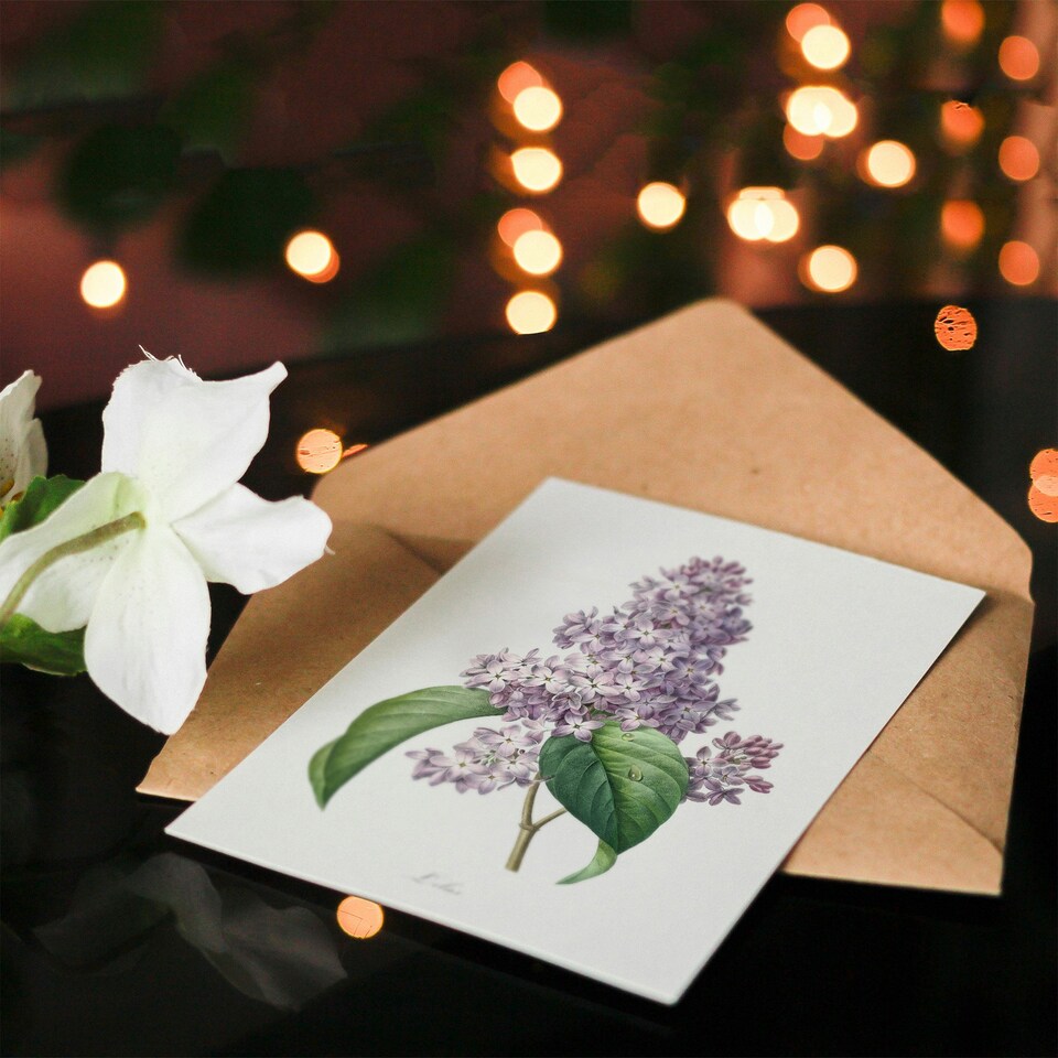 image 1 of Pierre-Joseph Redouté Art Card Lilac Vintage Floral Illustration
