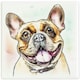 image 1 of Arora Dog Coaster - French Bulldog