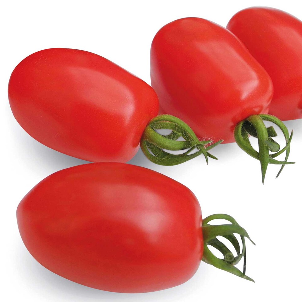 image 1 of Tomato (Cherry) Monterrey F1 (Organic) | Multi | Red
