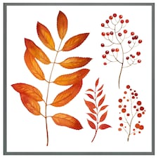 Orange autumn leaves (Picture Frame) Grey | XS