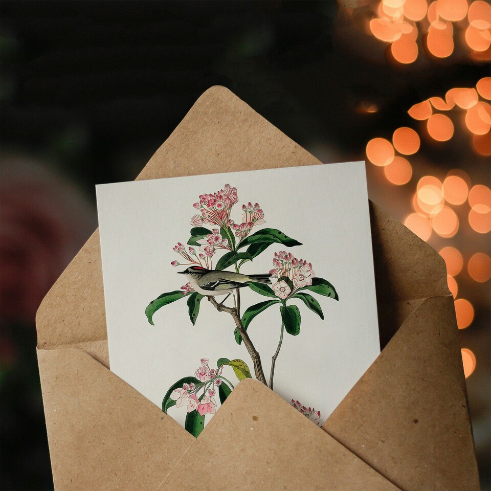 image 1 of John James Audubon Art Card Cuviers Kinglet Bird and Mountain Laurel