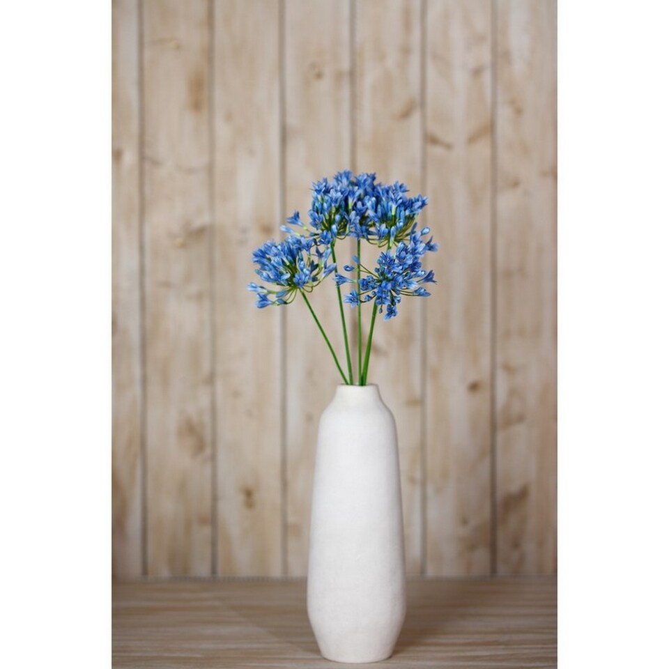 image 1 of Agapanthus (Single Stem Flower) - Plastic - L15 x W15 x H75 cm - Blue