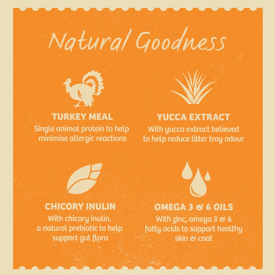 image 1 of James Wellbeloved Grain Free Kitten Wet Cat Food Pouches Turkey in Gravy 48 x 85g