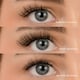 image 2 of House Of Amor - Eyelash Extensions - The Daily Collection - Pre Mapped Multipack -