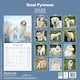image 2 of Great Pyrenees 2026 Calendar | Square Wall Calendar | Dog Breed Gift | Plastic Free Packaging | by Avonside Publishing
