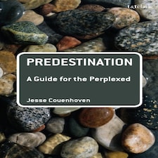 Predestination: A Guide For The Perplexed