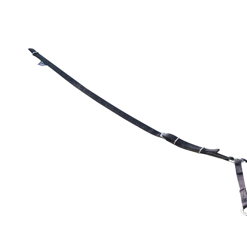 image 1 of Shires Horse Lunging Aid - Black - One Size