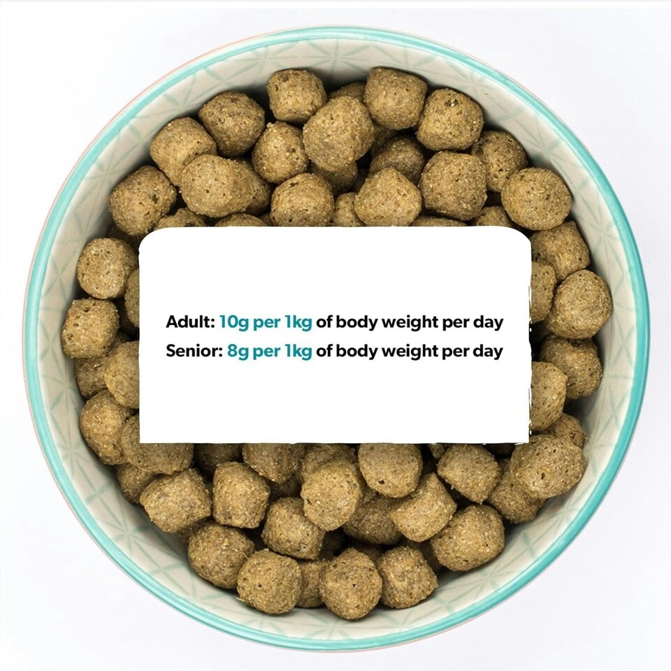 image 1 of Burns Original Fish & Brown Rice Hypoallergenic Adult & Senior Dry Dog Food - 6 kg