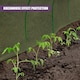 image 4 of GEEZY Cover For Plants Protective Fleece Green 1 Pack