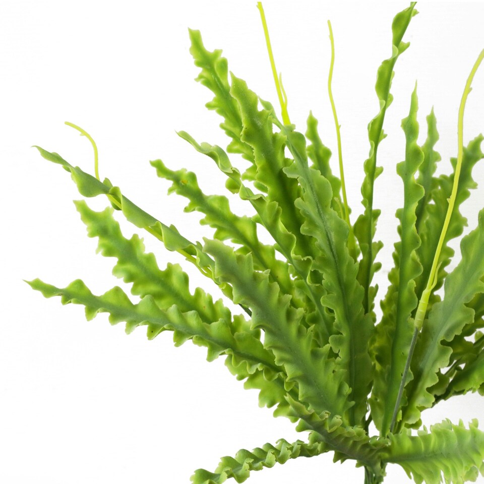 image 1 of Artificial Fern Plant 40cm Artificial Crocodile Fern Plant Pack 12