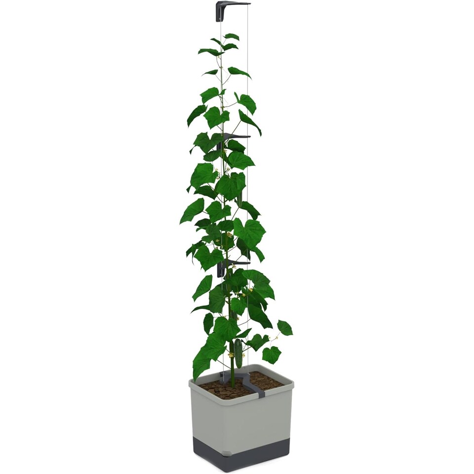 image 1 of GUSTA GARDEN Curt Cucumber Pot - Plant Pot with Trellis for Cucumbers, Irrigation System (Light Grey)