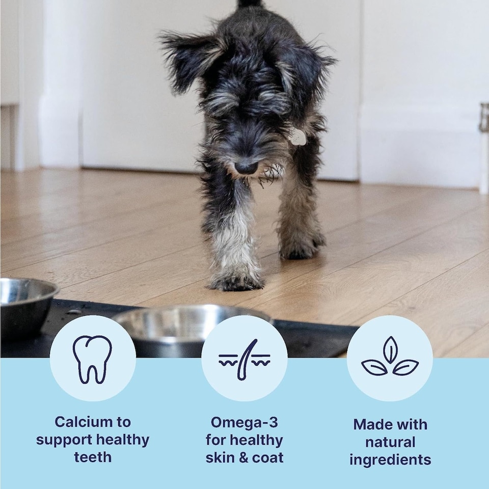 image 1 of Tails.com Inner Vitality Wet Dog Food Alu Tray Puppy Chicken 11 x 150g