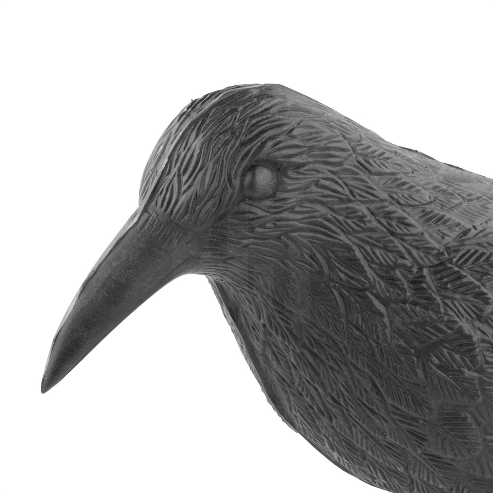 image 1 of KCT Crow Decoy Full Bodied Realistic Hunting Prop and Bird Scarer