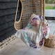 image 3 of Beautiful Reath (Blanket)