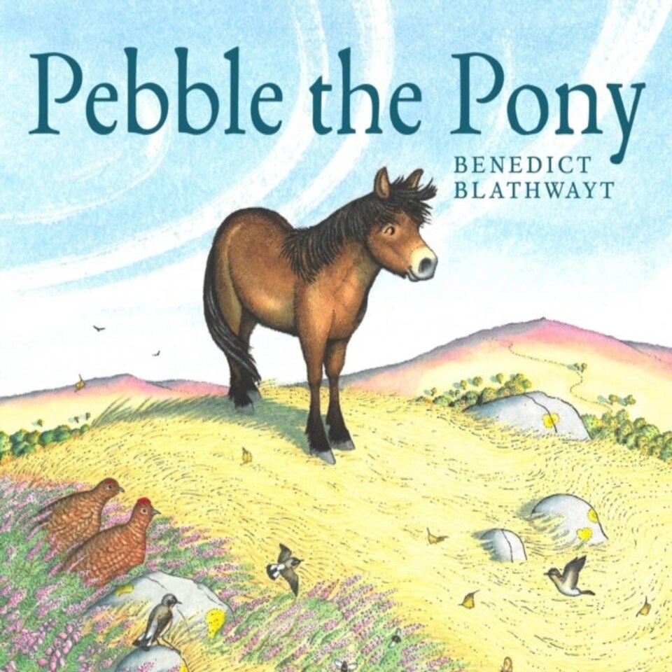 Pebble The Pony
