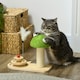 image 2 of PawHut 26cm Mushroom Cat Scratching Post with Toy Balls Feather