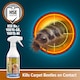 image 7 of NOPE CP Carpet Beetle Spray Killer 500ml - Fast Acting, Odourless Carpet Beetle Treatment for Home use