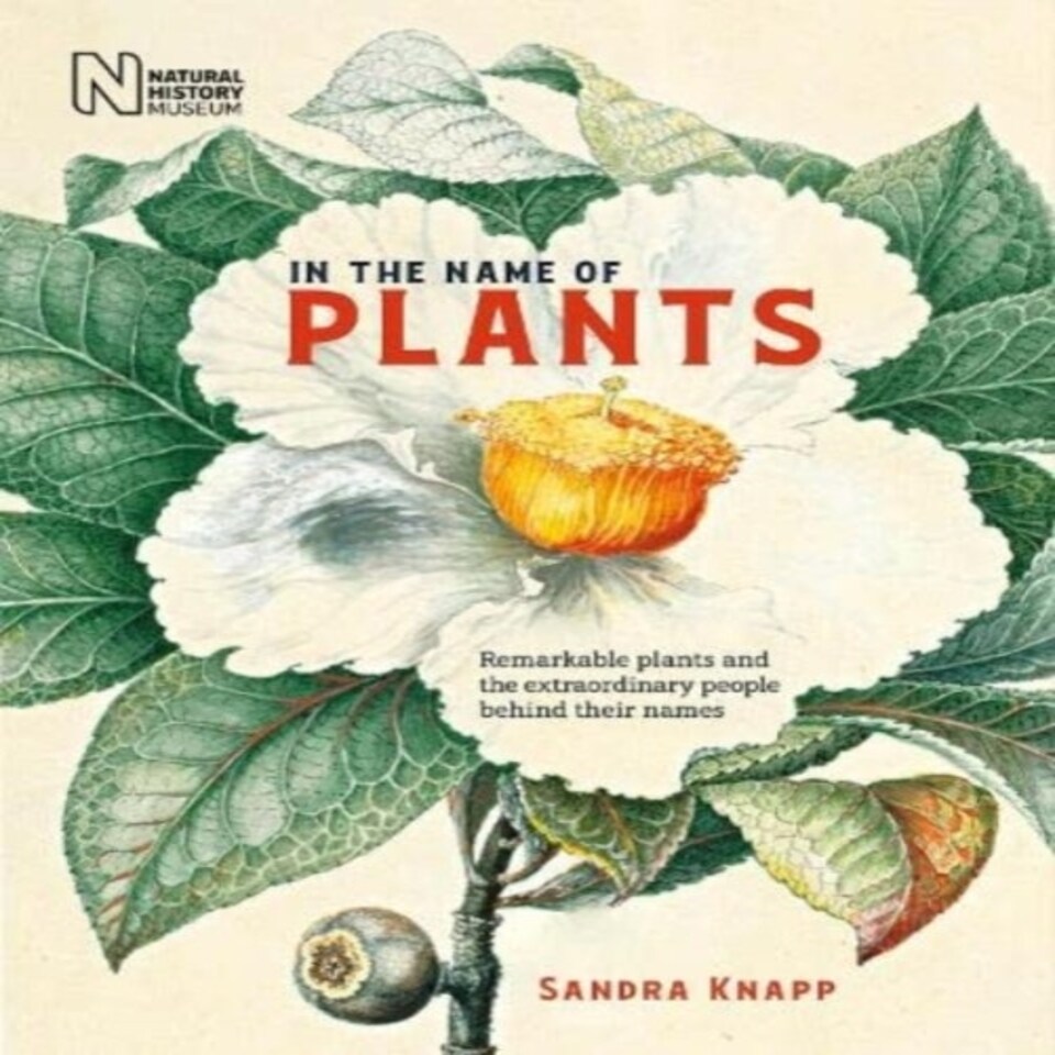 In The Name Of Plants