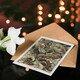 image 4 of Ernst Haeckel Art Card Lacertilia Reptile Lizard Species