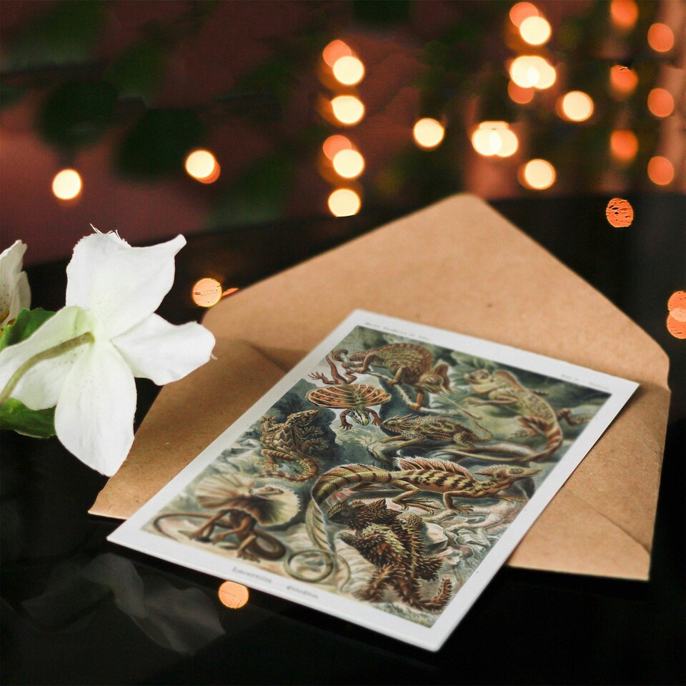 image 1 of Ernst Haeckel Art Card Lacertilia Reptile Lizard Species