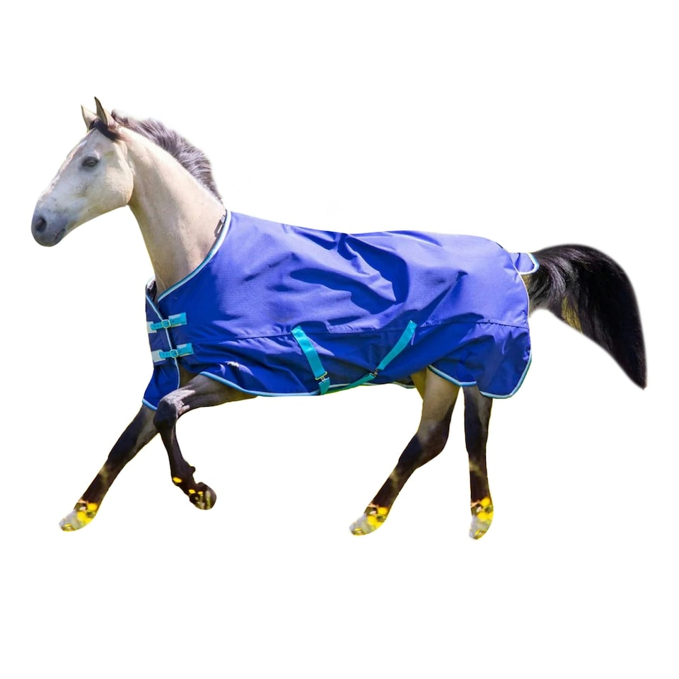image 1 of Tempest Original 100 Standard-Neck Horse Turnout Rug - Navy - 6´ 9"
