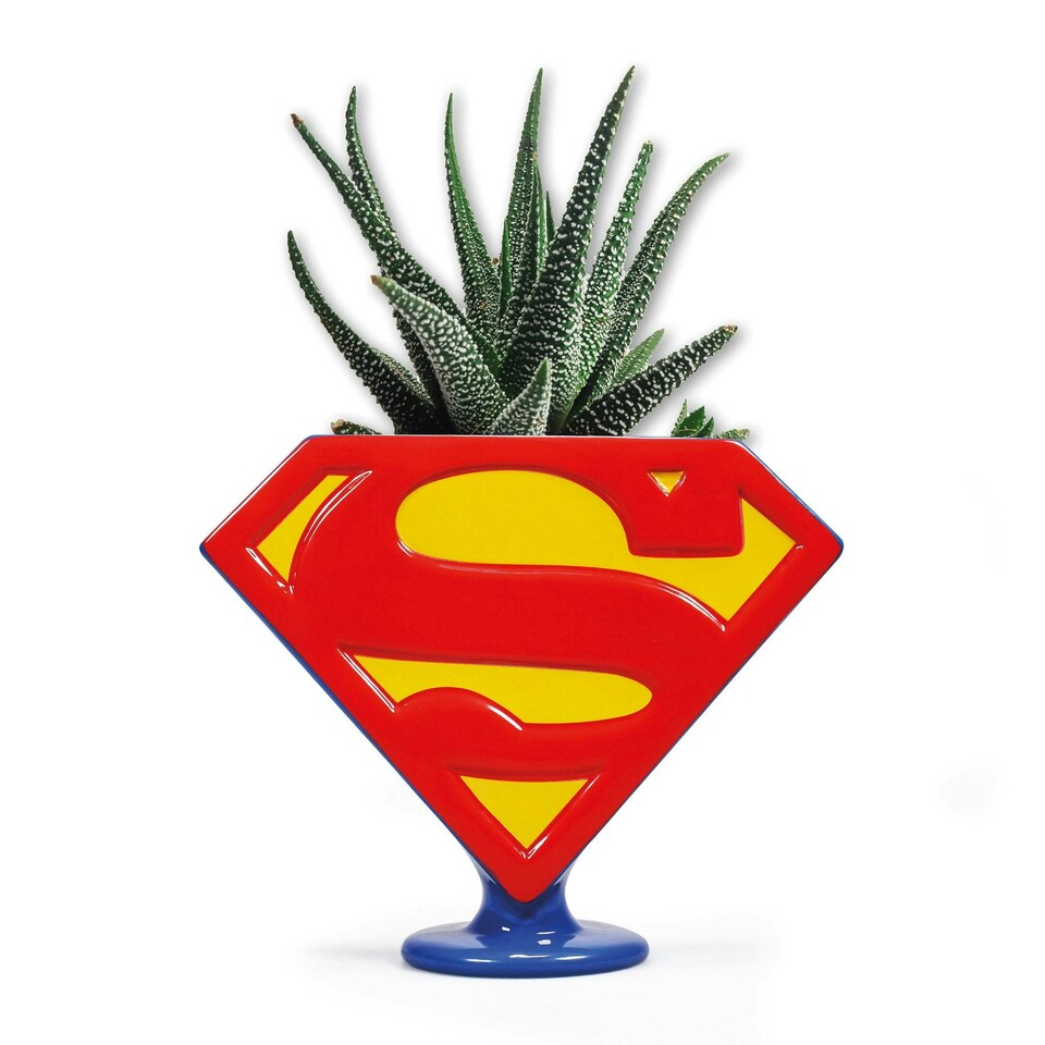 image 1 of Superman Logo Planter 850ml
