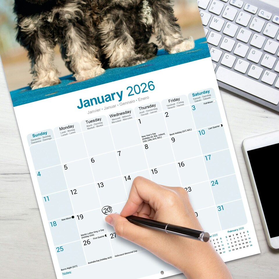 image 1 of Schnauzer 2026 Calendar | Square Wall Calendar | Dog Breed Gift | Plastic Free Packaging | by Avonside Publishing