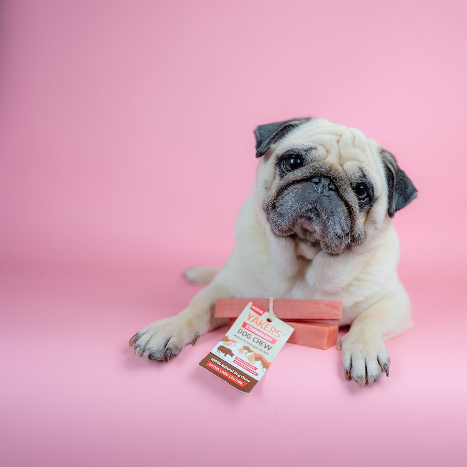 image 1 of YAKERS Strawberry Natural Himalayan Dog Chews - Pack of 2 (Medium)