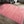 Blush Pink
